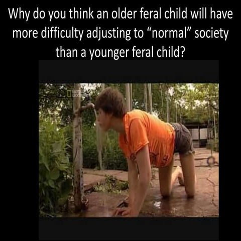 Feral children, learning and memory