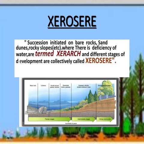 Xerosere | PPTX