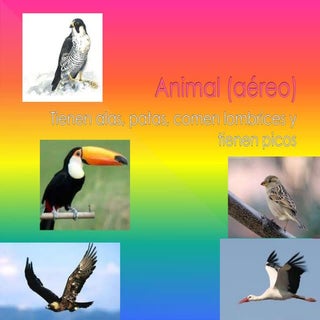 Feria 4to agustina, federico, alan,...