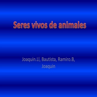 Feria cs 4to ramiro, bauti, joaquin ll