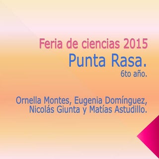 Feria de ciencias 2015 6to eugenia
