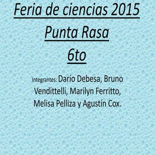 Feria de ciencias 2015 dario