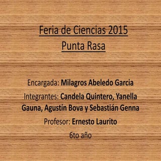 Feria de ciencias 2015 milagros