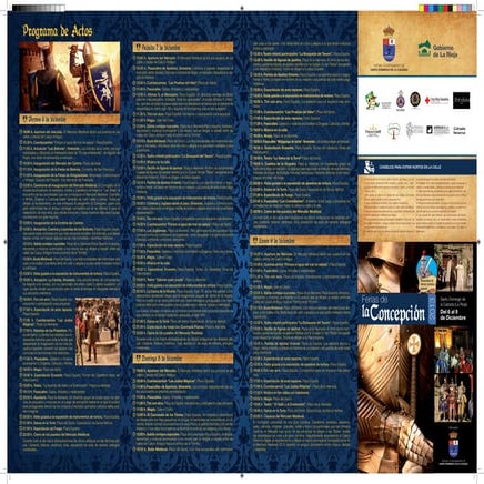 Feriasdelaconcepcion2013