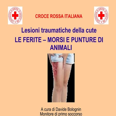 Ferite morsi-animali-primo-soccorso