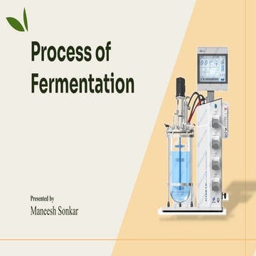 Fermentation Process – Types, Microorganisms, and Applications