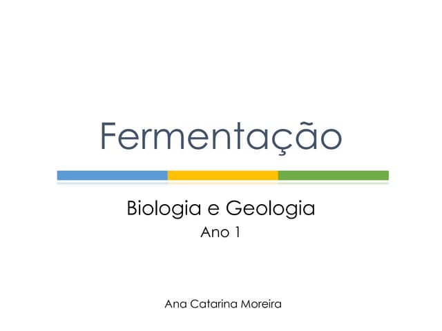 Fermentação
