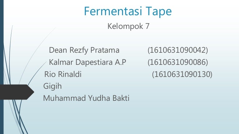 Fermentasi Tape Proses Respirasi Anaerob