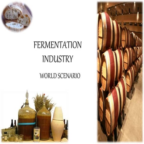 Fermentation status of world
