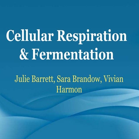 Fermentation and cellular respiration