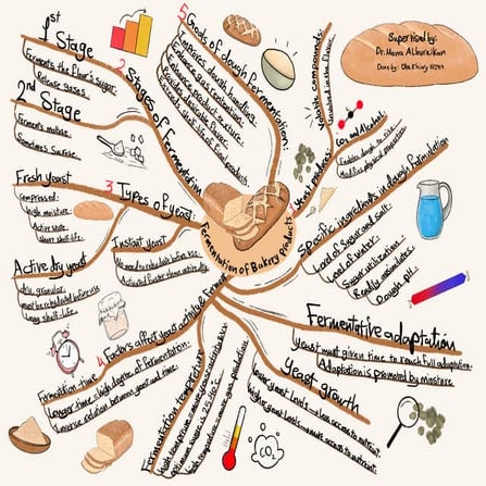 Fermentation of bakery products mind map