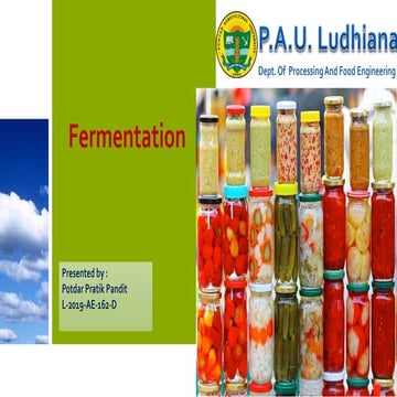 Fermentation pratik potdar