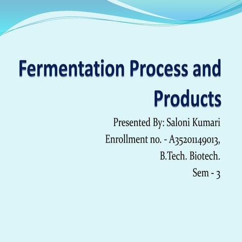 Fermentation process and products