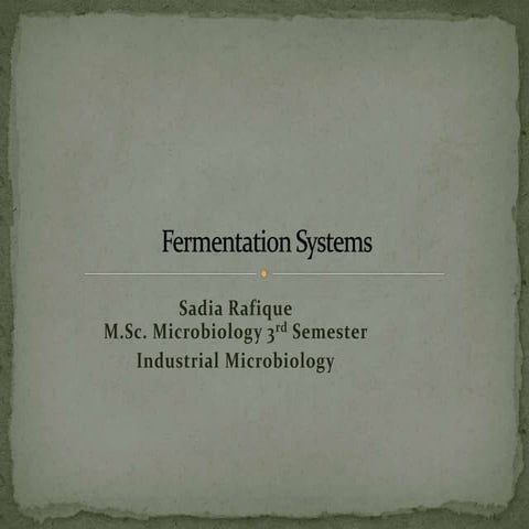 Fermentation systems by Sagacious Sadia 