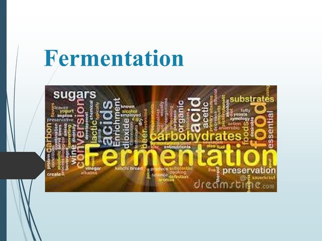 Fermentation technology