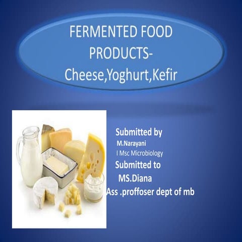 Fermented food products cheese,yoghurt,kefir