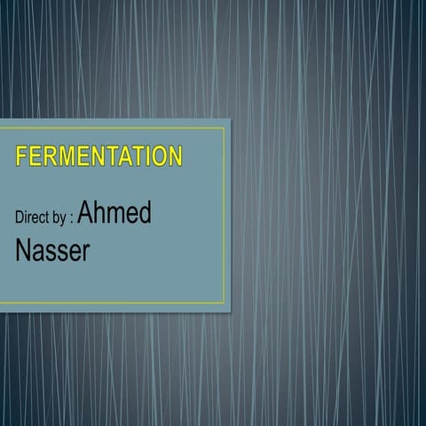 Fermenter