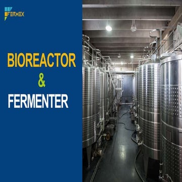 Fermex Product.pdf
