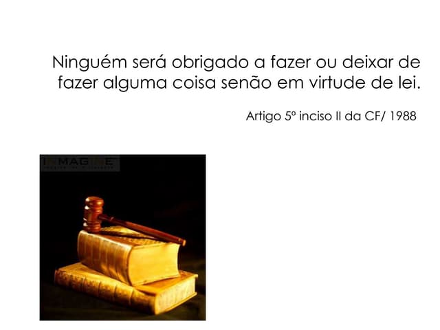 Seminário "O papel dos órgãos de Co...