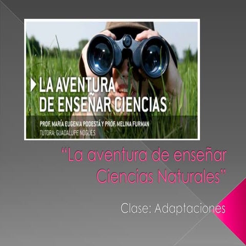 Fernandez - Adaptaciones - 5año