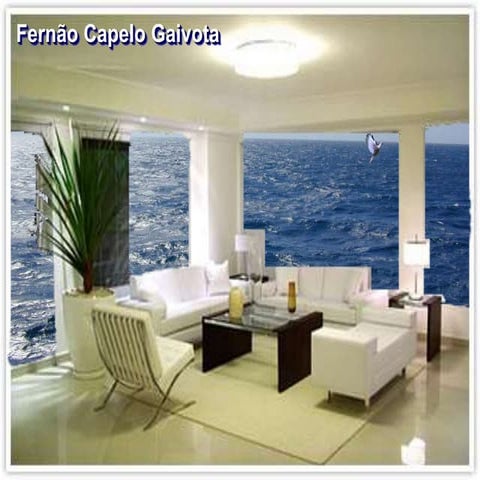 Fernão Capello Gaivota