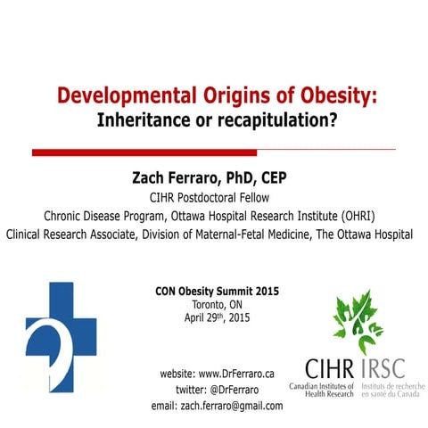 Developmental Origins of Obesity: The Role of Epigenetics