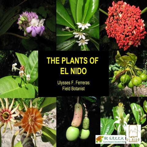 "The Plants of El Nido, Palawan" by Ulysses Ferreras