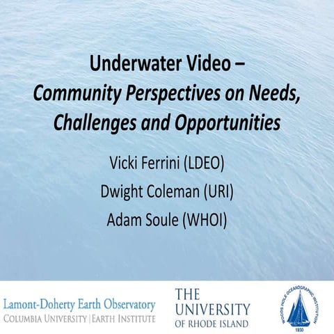 Underwater Video – Community Perspectives on Needs, Challenges and Opportunit...