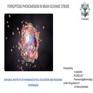 FERROPTOSIS PHENOMENON IN BRAIN ISCHEMIC STROKE [Autosaved] [Autosaved ...