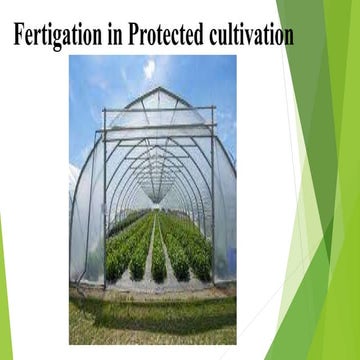 Fertigation system | PPTX