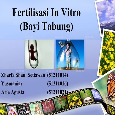 Fertilisasi in vitro (bayi tabung)