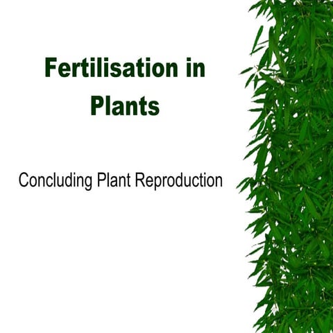 Fertilisation & Germination