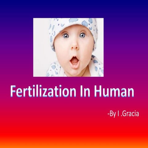 Fertilisation in human Being
