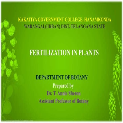 Fertilisation in plants