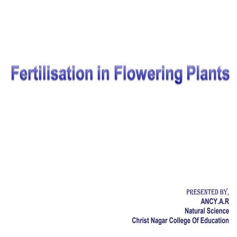 Fertilisation in the flowering plants