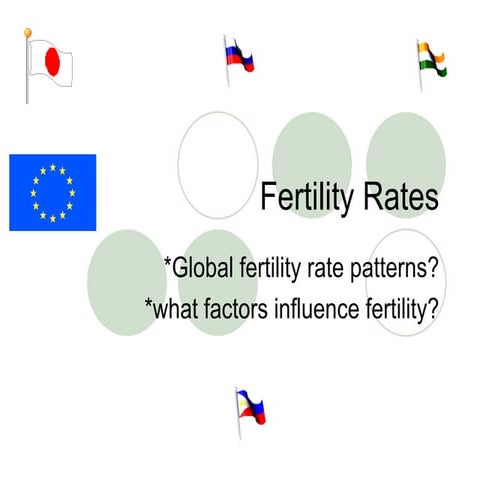 Fertility Rates