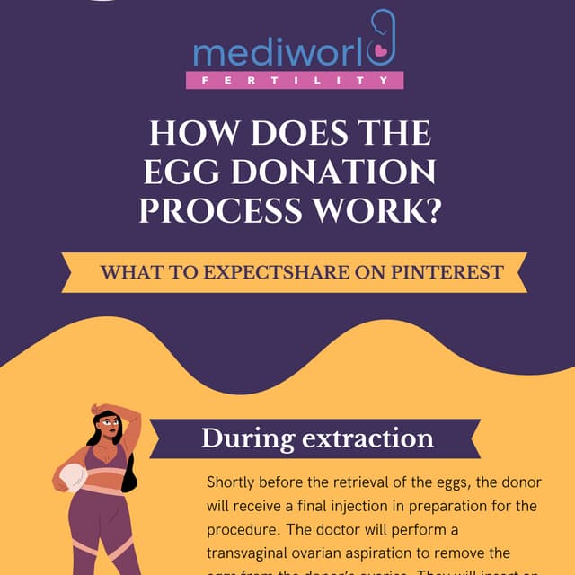 how does egg donation work PDF