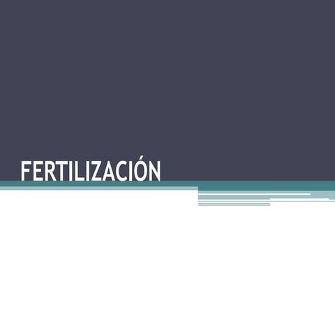 Fertilización