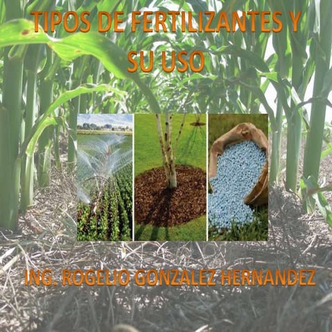 Fertilizantes y su uso
