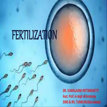 Fertilization