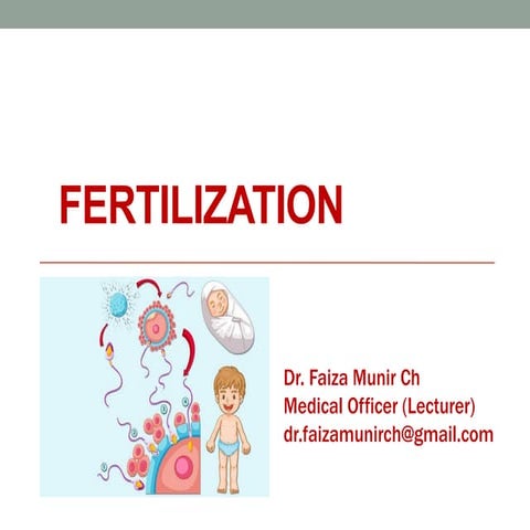 Fertilization.pdf