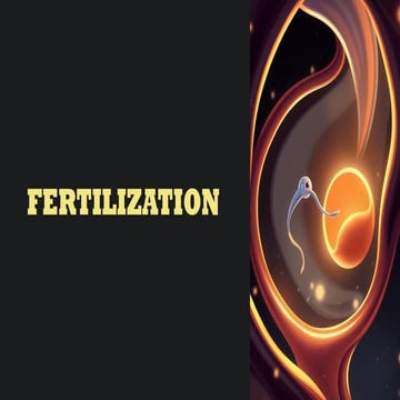 Fertilization, Types of fertilization, step of fertilization process ...