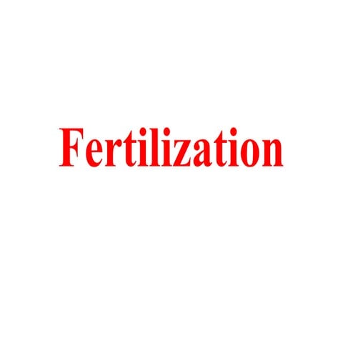 Fertilization.pptxbvvbvvvvvvvvvvvvvvvvvv