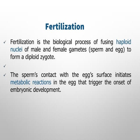 Fertilization process | PPTX