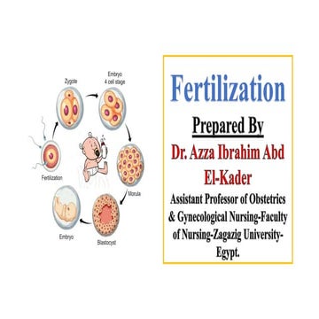 Fertilization and conception in Human.pdf