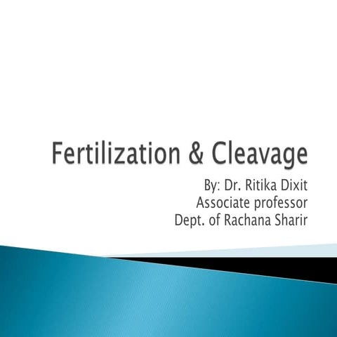 embryology : fertilization and cleavage.