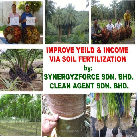 Fertilization for plantation commodity