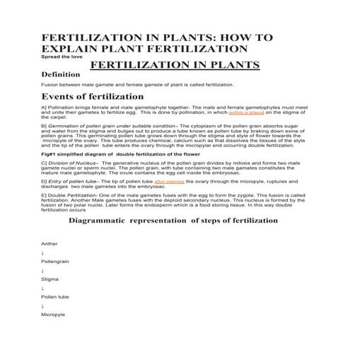 FERTILIZATION IN PLANTS.docx