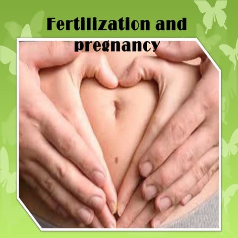 Lesson 4.3 Fertilization & Pregnancy 