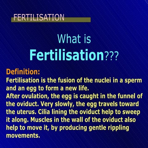 fertilizationslides-100904093547-phpapp02.pptx